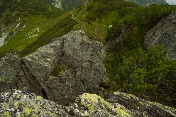 Krásné Rakouské Alpy Horská Krajina Rakousku — Stock fotografie