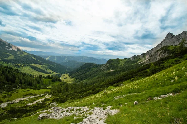 Avusturya'da güzel dağ manzarası