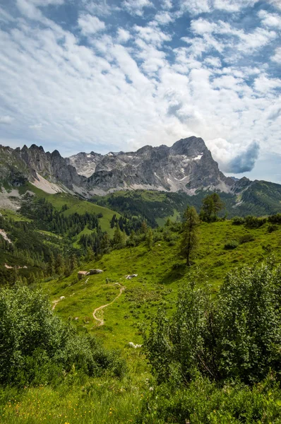 Hermoso Paisaje Montaña Austria —  Fotos de Stock