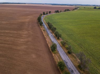 yeşil alan ve kırsal alanda tarım alanının kahverengi toprak arasında yol 
