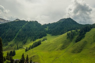 güzel yeşil dağlar çam ormanı ve bulutlu gökyüzü ile
