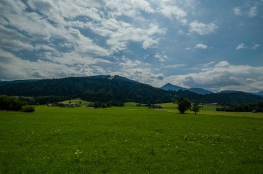 kırsal alanda güzel yeşil çayır