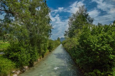 güzel hızlı nehir kıyısında yeşil ağaçlar ile