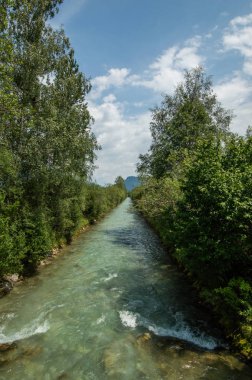 güzel hızlı nehir kıyısında yeşil ağaçlar ile