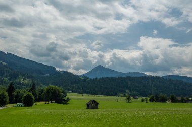 Kırsal alanda yeşil çayır üzerinde terk edilmiş eski ahır