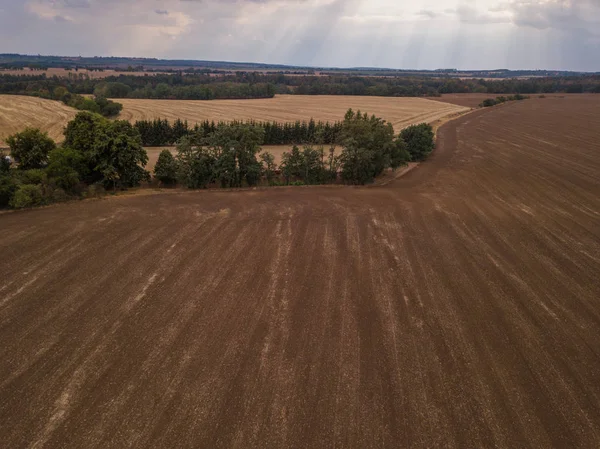 Kırsal alanda tarım alanının kahverengi toprak 