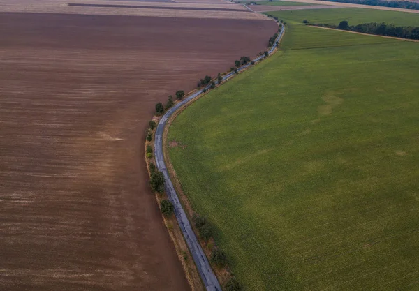 yeşil alan ve kırsal alanda tarım alanının kahverengi toprak arasında yol 