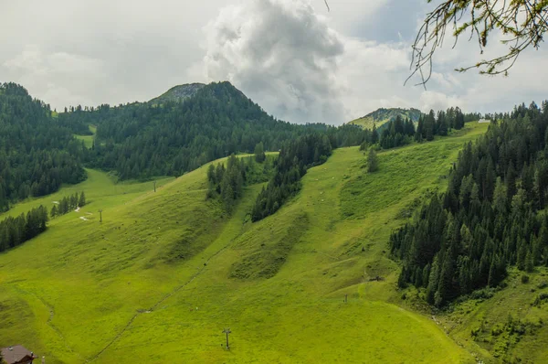 Hermosas Montañas Verdes Con Bosque Pinos Cielo Nublado —  Fotos de Stock