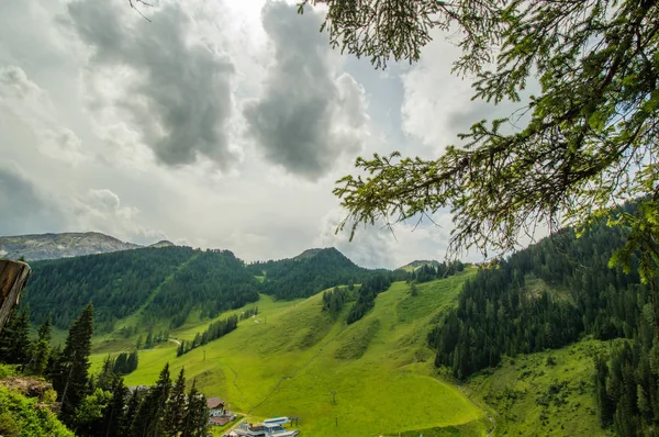 Schöne Grüne Berge Mit Kiefernwald Und Bewölktem Himmel — Stockfoto
