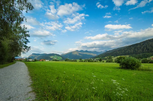 Yakınlarındaki kırsal alanda yeşil çayır yolu