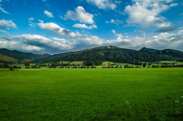 kırsal alanda güzel yeşil çayır