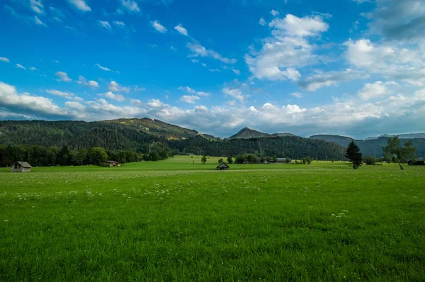 Belle Prairie Verte Dans Une Zone Rustique — Photo