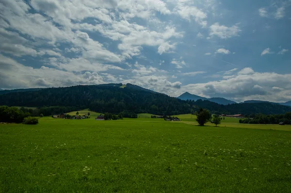 kırsal alanda güzel yeşil çayır