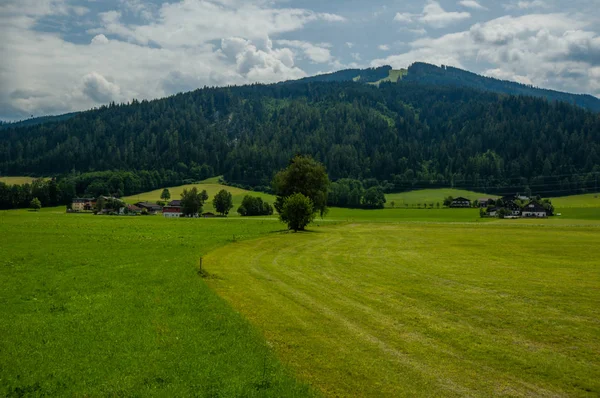 Gröna Jordbruksområdet Landsbygd — Stockfoto