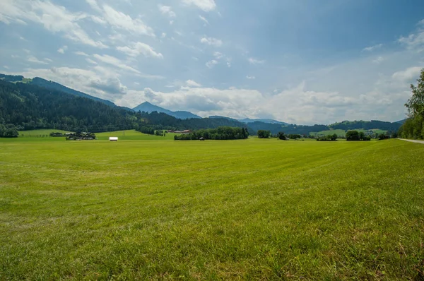 kırsal alanda güzel yeşil çayır