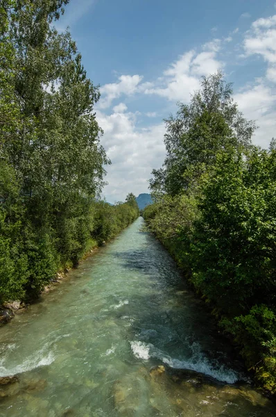 güzel hızlı nehir kıyısında yeşil ağaçlar ile