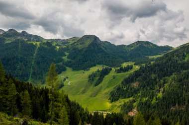 yaprak dökmeyen ağaçlar ve bulutlu gökyüzü ile dağlık manzara doğal görünümü