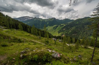 yaprak dökmeyen ağaçlar ve bulutlu gökyüzü ile dağlık manzara doğal görünümü