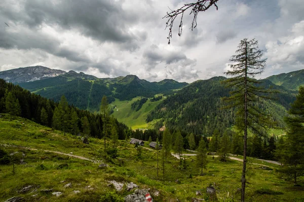 Vacker Utsikt Över Bergslandskapet Med Vintergröna Träd Och Molnig Himmel — Stockfoto