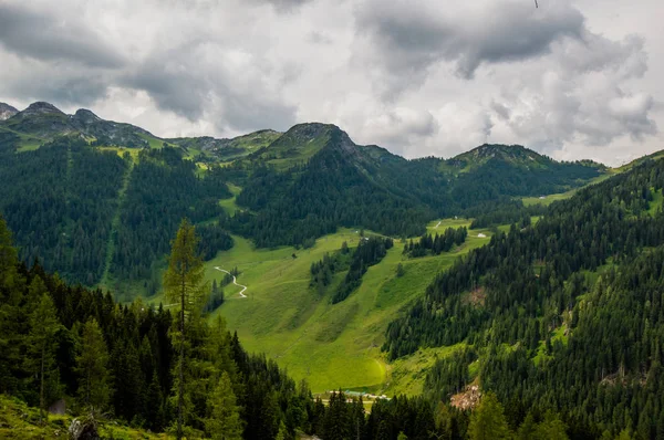 yaprak dökmeyen ağaçlar ve bulutlu gökyüzü ile dağlık manzara doğal görünümü