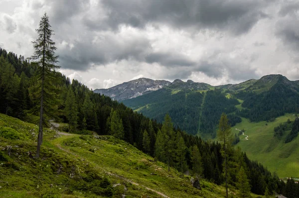 Vue Panoramique Sur Paysage Montagneux Avec Des Arbres Persistants Ciel — Photo