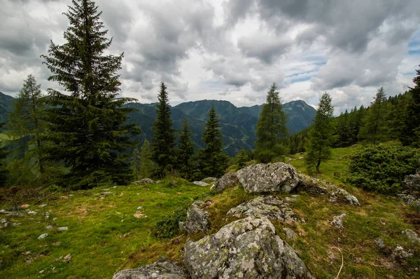 Vista Panorámica Del Paisaje Montañoso Con Árboles Siempreverdes Cielo Nublado —  Fotos de Stock