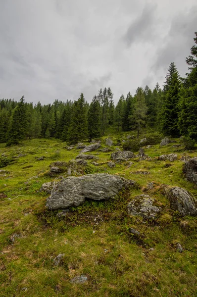 Vista Panorâmica Gramado Montanha Com Árvores Perenes Céu Nublado — Fotografia de Stock