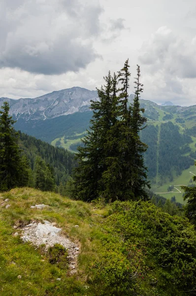 Vue Panoramique Sur Paysage Montagneux Avec Des Arbres Persistants Ciel — Photo