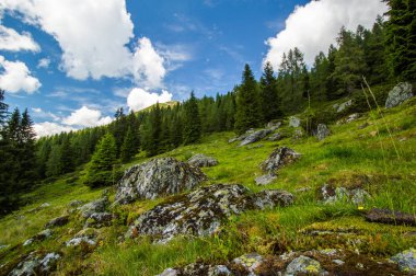 kayalar, ağaçlar ve mavi bulutlu gökyüzü tepe üzerinde çim görünümü