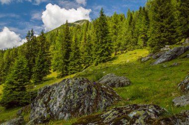 kayalar, ağaçlar ve mavi bulutlu gökyüzü tepe üzerinde çim görünümü