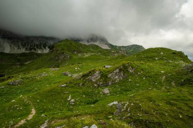 gür yeşilliklerle kaplı dağ tepe üzerinde bulutlu gökyüzü