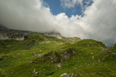 gür yeşilliklerle kaplı dağ tepe üzerinde bulutlu gökyüzü