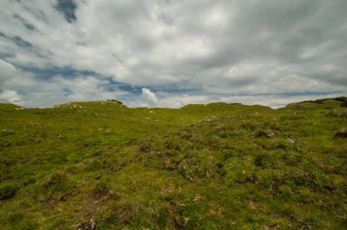 gür yeşilliklerle kaplı dağ tepe üzerinde bulutlu gökyüzü