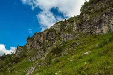 çim ağaç ve tepenin üzerinde mavi bulutlu gökyüzü görünümü