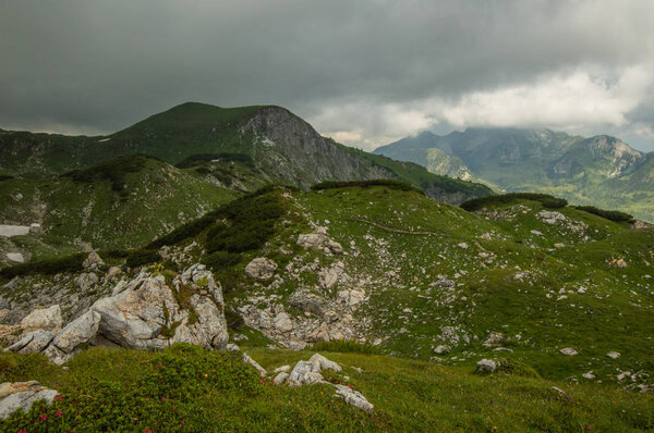 туманное небо над вершиной горы, покрытое пышной зеленью
