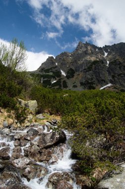 yeşillik ve tepeler arka plan üzerinde kayalık dağlık Nehri
