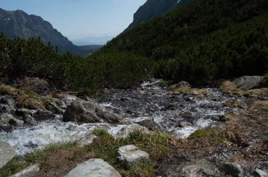 yeşillik ve tepeler arka plan üzerinde kayalık dağlık Nehri