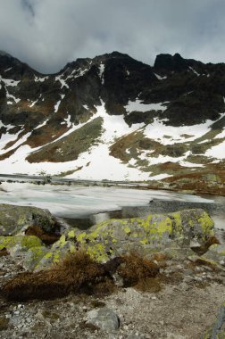 göl ve karlı kayalar ile doğal peyzaj