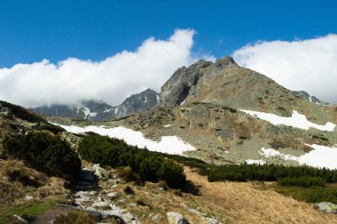 bulutlu gökyüzü altında karlı dağlık manzara