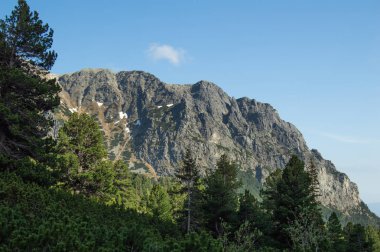 Rocky Dağları çam ağaçları arasından görüntülendi