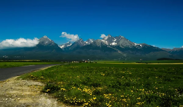 Green Valley Blooming Flowers Mountain Range Background — Stock Photo, Image