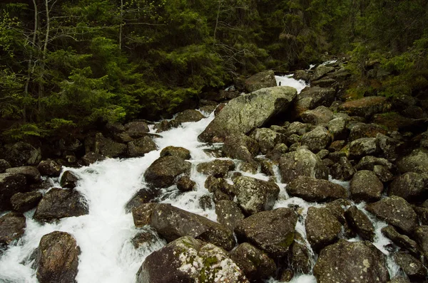 Utsikt Över Vatten Som Rinner Steniga Bergiga River — Stockfoto