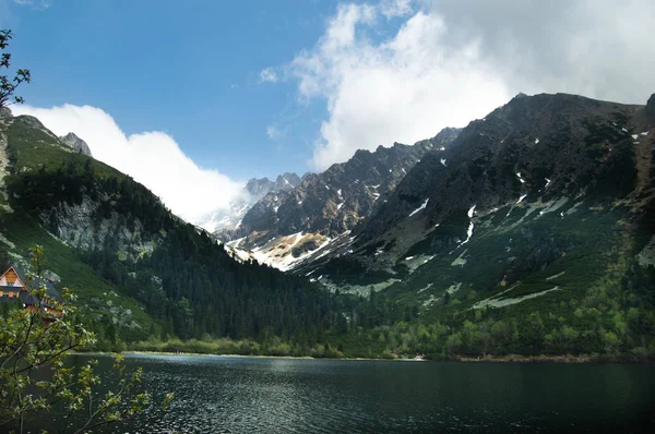 Pohled Jezero Hory Větvemi Stromu Popředí — Stock fotografie