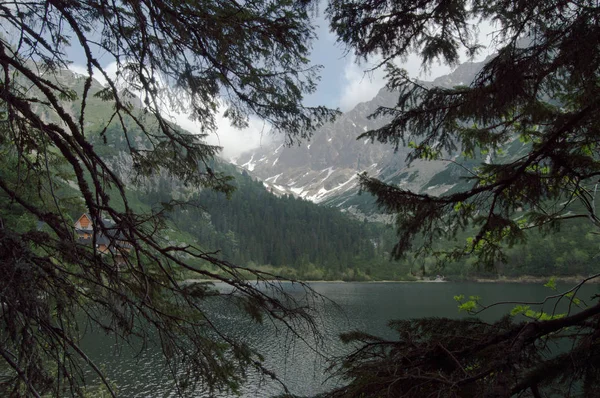 Pohled Jezero Hory Větvemi Stromu Popředí — Stock fotografie