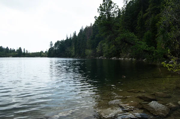 Κυματιστό Λίμνη Νερού Επιφάνειας Και Καταπράσινα Δέντρα Στην Ακτή — Φωτογραφία Αρχείου