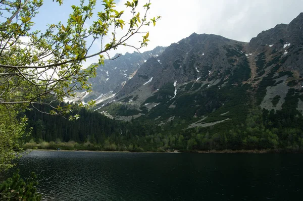 Pohled Jezero Hory Větvemi Stromu Popředí — Stock fotografie