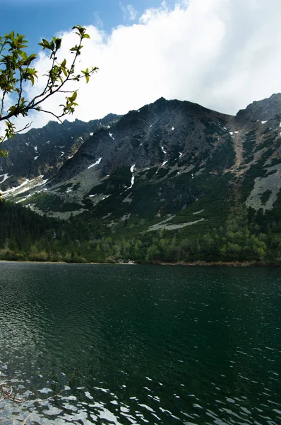 Vista Lago Montagne Con Rami Albero Primo Piano — Foto Stock