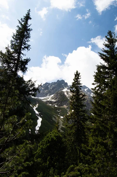 Felsige Berge Durch Kiefern Betrachtet — Stockfoto
