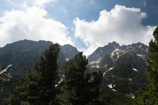Скалистые Горы Просматриваемые Через Сосны — стоковое фото