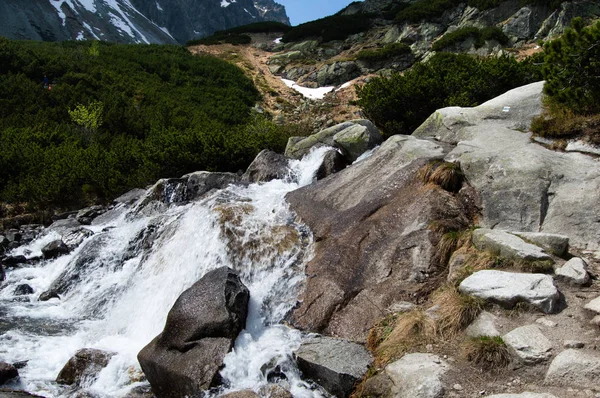 Vista Dell Acqua Che Scorre Fiume Roccioso Montuoso — Foto Stock